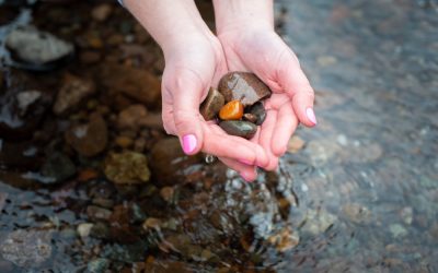 Beautiful poems about Mindfulness